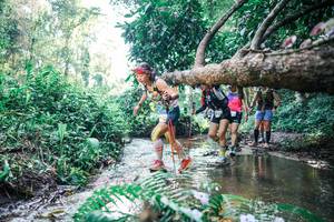 BIB: 
                            <button type="button" onclick="openModal(25448878)" class="btn btn-primary btn-sm float-right btn-popup" data-toggle="modal" data-target=".modal-high-quality">
                        <i class="fas fa-shopping-cart"></i> Add to Cart
                    </button>
                                            <button type="button" onclick="isThisMe(25448878, true)" class="btn btn-success btn-sm float-right btn-popup btn-isme hidden" data-toggle="tooltip" data-placement="bottom" title="นี่คือรูปของคุณใช่ไหม คลิกที่นี่เพื่อเอาเข้าอัลบั้ม">
                        <i class="fas fa-plus"></i> Add to album
                    </button>
                    <button type="button" onclick="isThisMe(25448878, false)" class="btn btn-warning btn-sm float-right btn-popup btn-isnotme hidden">
                        <i class="fas fa-ban"></i> Remove from album
                    </button>